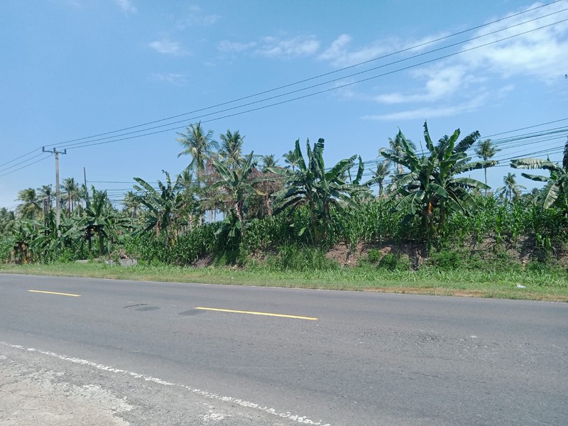 Tanah kosong dijalan Soekarno-Hatta Trans Sumatera Kalianda Lamsel