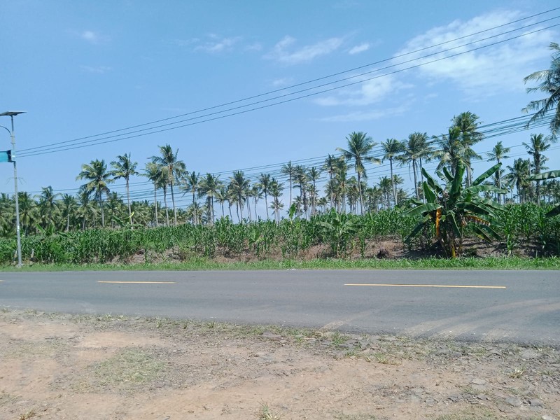 Tanah kosong dijalan Soekarno-Hatta Trans Sumatera Kalianda Lamsel