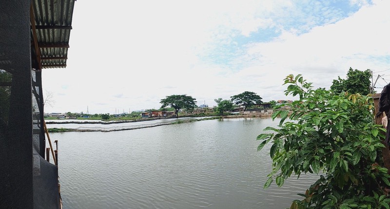 Investasi Emas! Lahan 9400m2 di Semper, Jakarta Utara - Akses Mudah & Siap Serah Terima