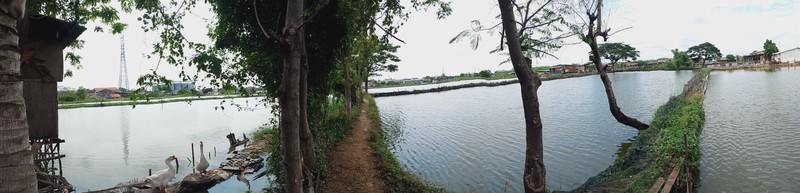 Investasi Emas! Lahan 9400m2 di Semper, Jakarta Utara - Akses Mudah & Siap Serah Terima