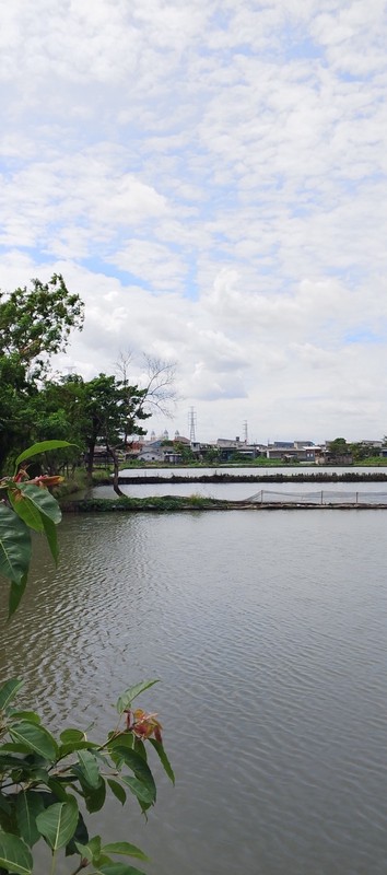 Investasi Emas! Lahan 9400m2 di Semper, Jakarta Utara - Akses Mudah & Siap Serah Terima