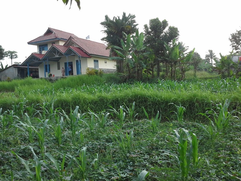 Tanah Luas 1,1 Ha di Cibungbulang Bogor Jawa Barat