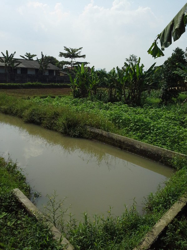 Tanah Luas 1,1 Ha di Cibungbulang Bogor Jawa Barat