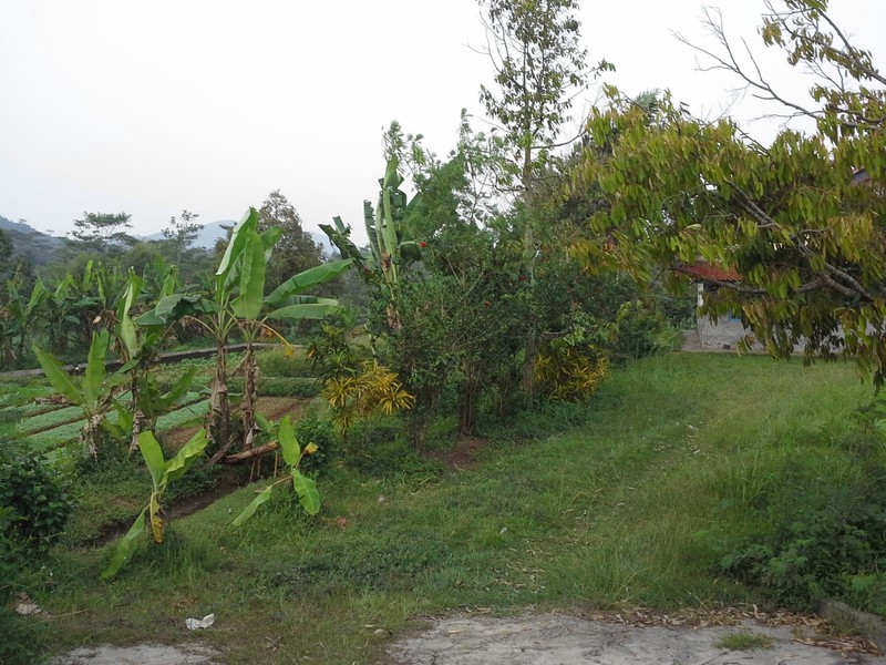 Tanah Luas 1,1 Ha di Cibungbulang Bogor Jawa Barat