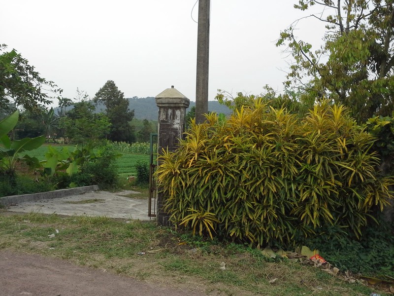 Tanah Luas 1,1 Ha di Cibungbulang Bogor Jawa Barat