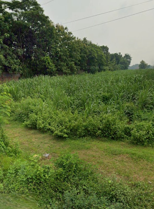 Dijual 3,5 Hektar Tanah Kavling Jombang Jawa Timur - Jalan Al Hidayah Dekat Jalan Nasional , Alun- Alun Kota Jombang - Akses Truk - Cocok Buat Gudang, Workshop, Perumahan - Surat SHM