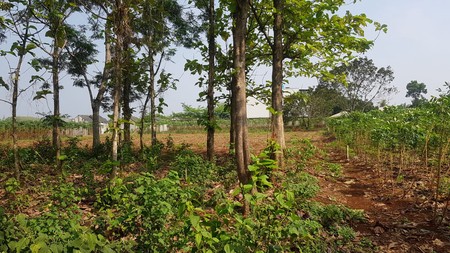 Tanah kavling TNI di Sasak Panjang, Tajur Halang-Bogor