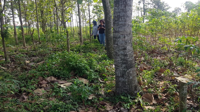 Tanah kavling TNI di Sasak Panjang, Tajur Halang-Bogor