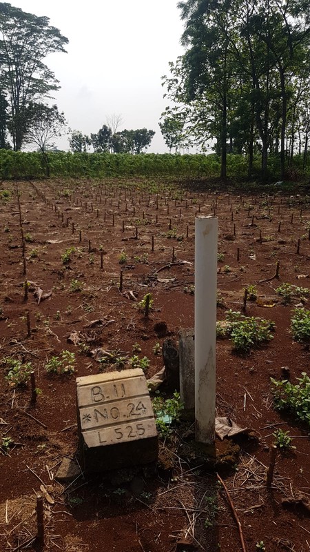Tanah kavling TNI di Sasak Panjang, Tajur Halang-Bogor