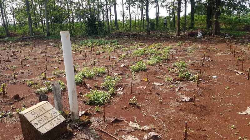 Tanah kavling TNI di Sasak Panjang, Tajur Halang-Bogor