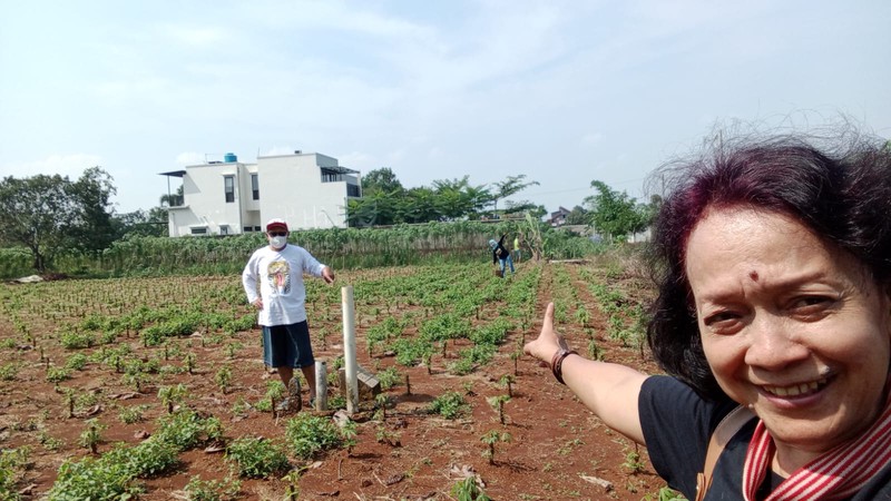 Tanah kavling TNI di Sasak Panjang, Tajur Halang-Bogor