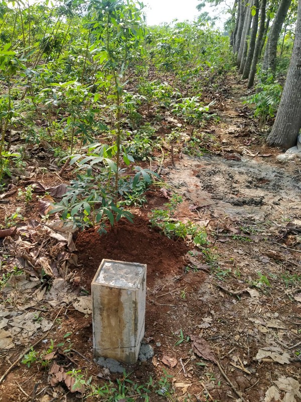 Tanah kavling TNI di Sasak Panjang, Tajur Halang-Bogor