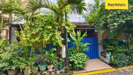 Dijual Aset Lelang Rumah Dijalan Semolowaru Timur Surabaya