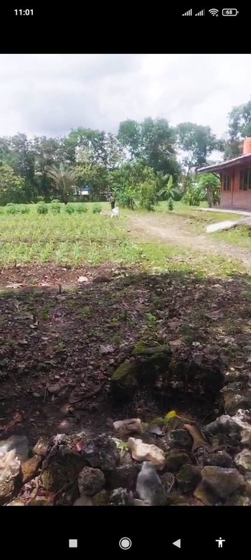 Tanah Luas 3030 Meter Persegi Lokasi di Daerah Ponjong Gunung Kidul 