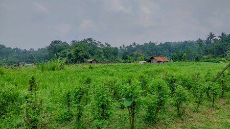 Tanah di Wanayasa Purwakarta, akses mudah ke Bojong, Babakancikao