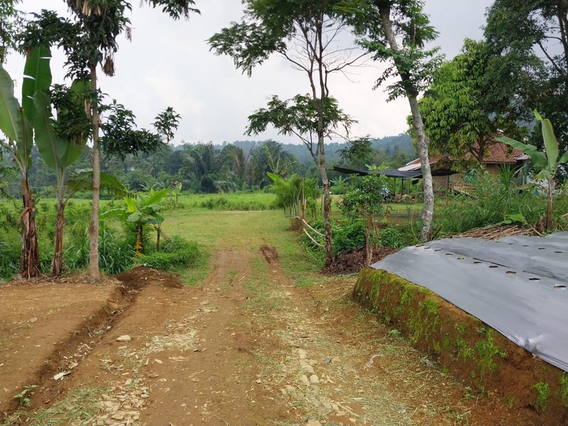 Tanah di Wanayasa Purwakarta, akses mudah ke Bojong, Babakancikao
