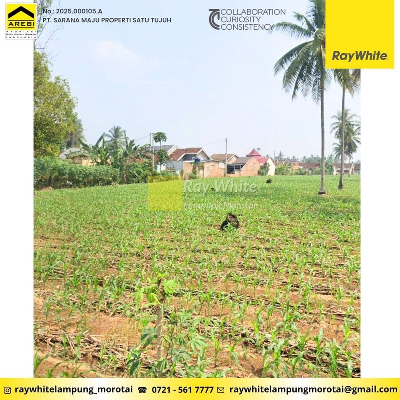 disewakan tanah luas