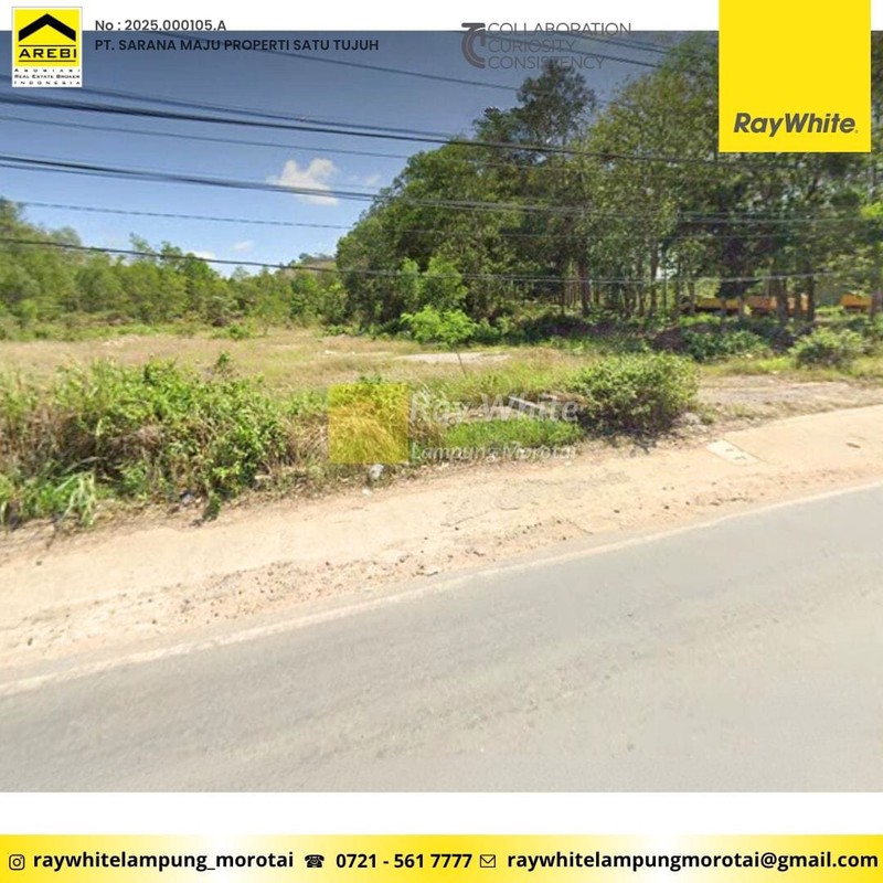 disewakan tanah luas