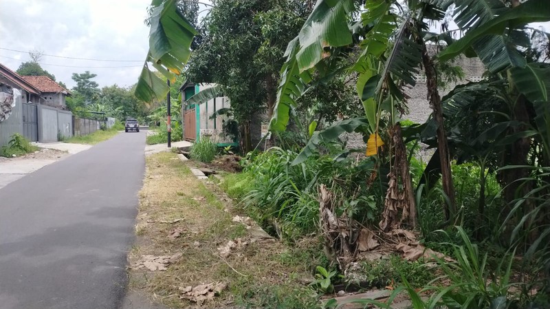 Lahan Sawah 144 Meter Persegi Strategis di Dusun Stan, Maguwoharjo, Sleman 