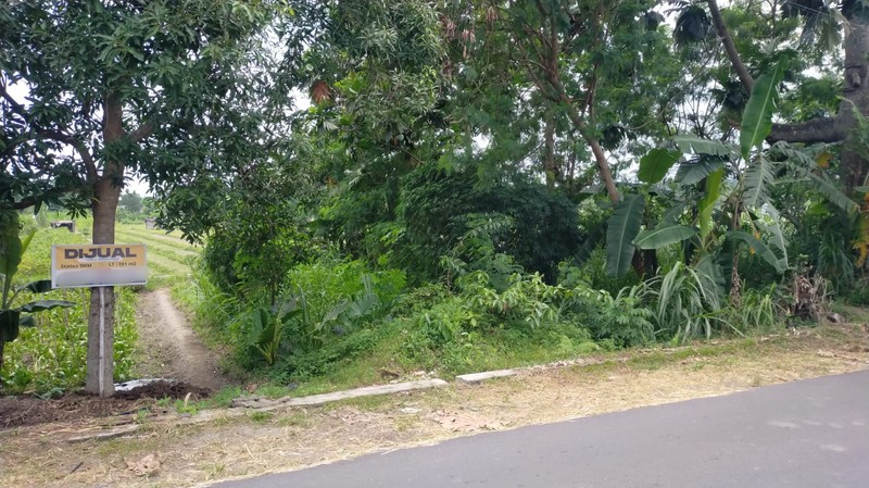 Lahan Sawah 144 Meter Persegi Strategis di Dusun Stan, Maguwoharjo, Sleman 