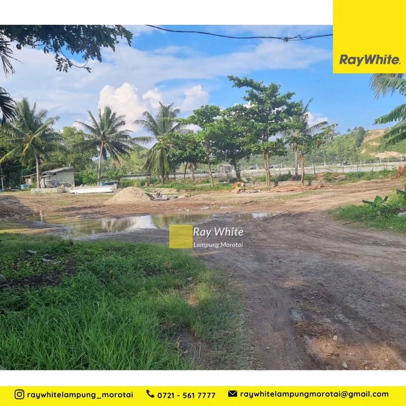 Tanah tambak murah dekat pantai bakauheni, lampung selatan