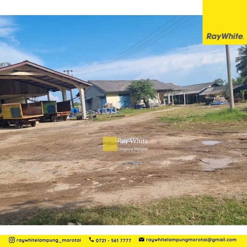 Tanah tambak murah dekat pantai bakauheni, lampung selatan