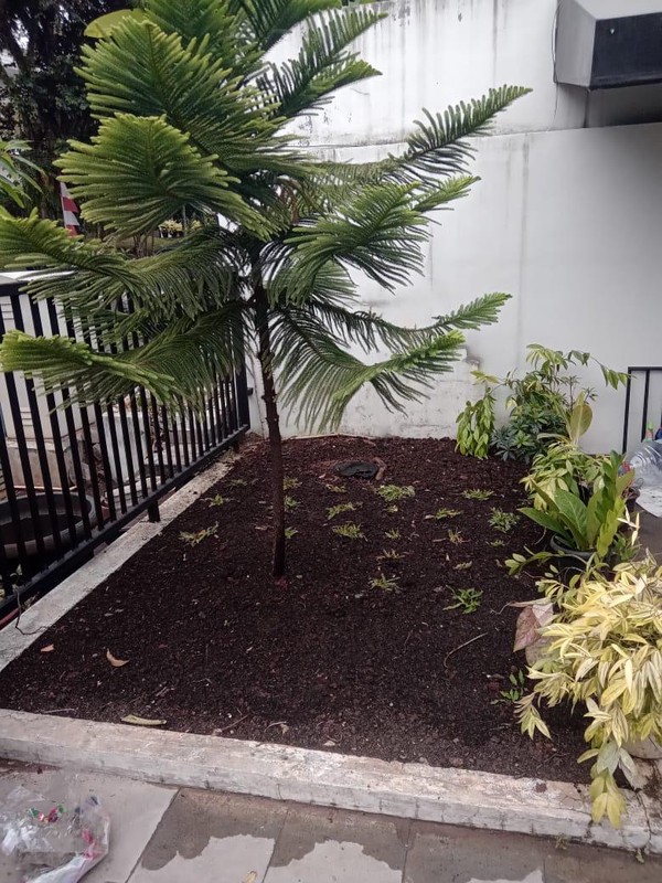 Dijual Rumah di Villa Cinere Mas