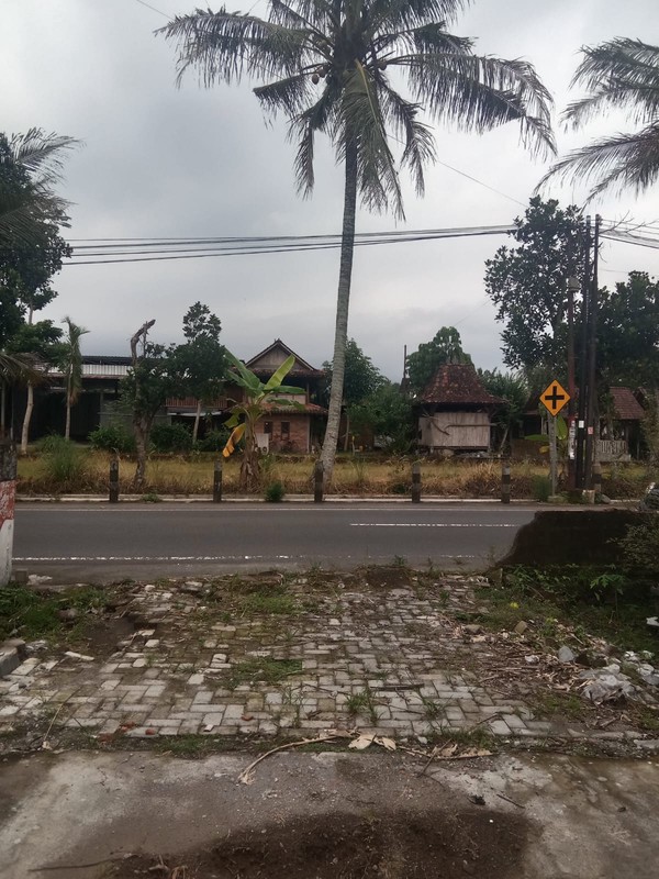 Tanah Pekarangan Dijual di Rejosari, Sardonoharjo, Ngaglik - Lokasi Strategis & Lingkungan Nyaman