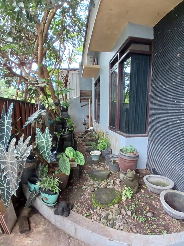 Disewakan Rumah Fully Furnish Nyaman, Asri, Dan Dekat Kampus Di Sariharjo, Ngaglik.