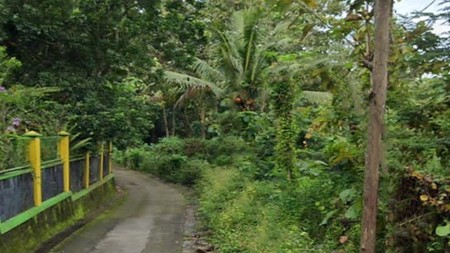Tanah Pekarangan 1.500 Meter Persegi Di Jalur Utama Kulon Progo, Dekat IKIP PGRI