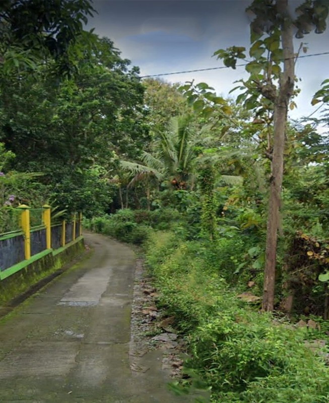 Tanah Pekarangan 1.500 Meter Persegi Di Jalur Utama Kulon Progo, Dekat IKIP PGRI
