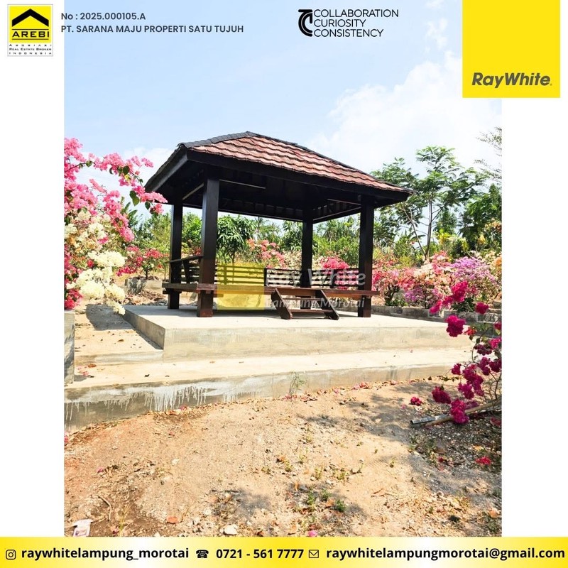 Tanah murah luas 4,7 hektar di Sidomulyo, Lampung Selatan