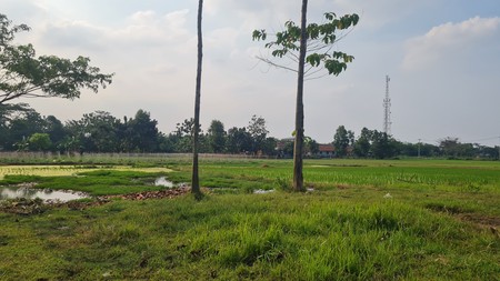 Tanah Kavling cocok untuk perumahan , posisi strategis di sekitar Jaya Sampurna Residence, Asri Pratama, Puri Cijambe, Mutiara Sampurna