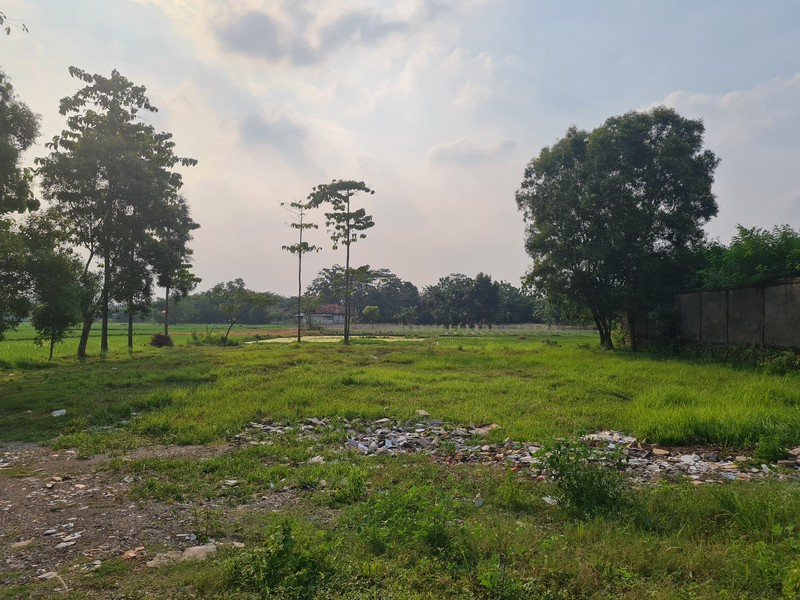 Tanah Kavling cocok untuk perumahan , posisi strategis di sekitar Jaya Sampurna Residence, Asri Pratama, Puri Cijambe, Mutiara Sampurna