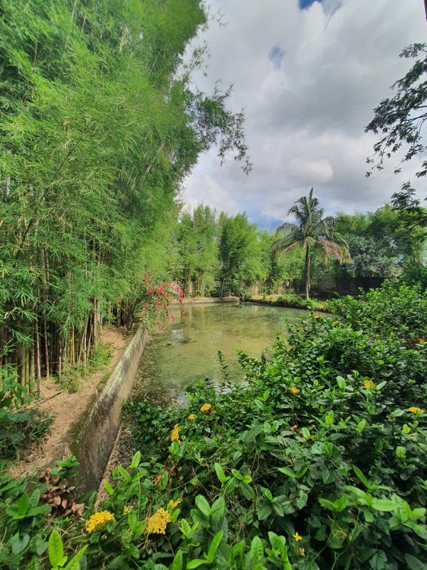 Rumah dengan Luas 3900 m2 dan Bangunan 700 m2 di @Pamulang Barat