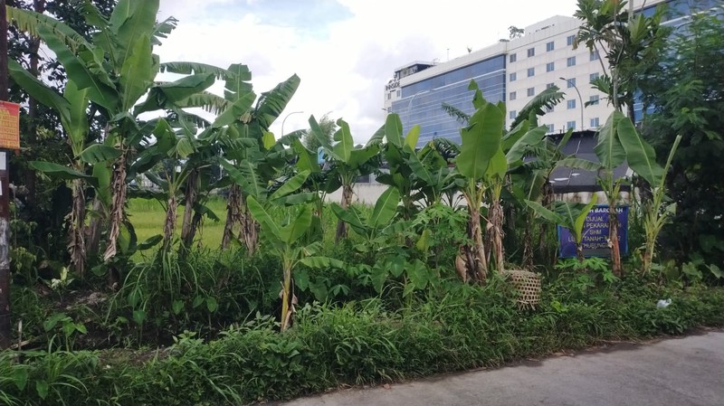 Dijual Tanah 975 Meter Persegi di Lokasi Strategis, Maguwoharjo, Sleman, Dekat Lottemart