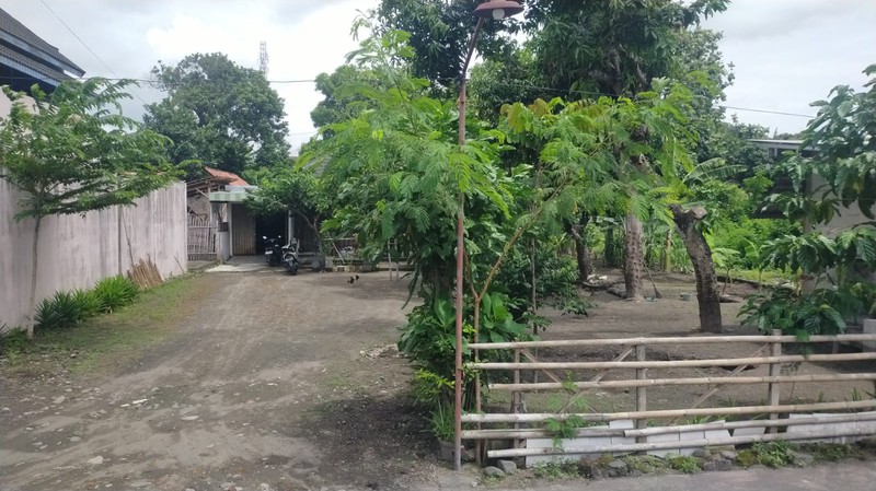 Dijual Rumah Luas 714 Meter Persegi di Lokasi Strategis Dekat Balai Desa Taji, Klaten