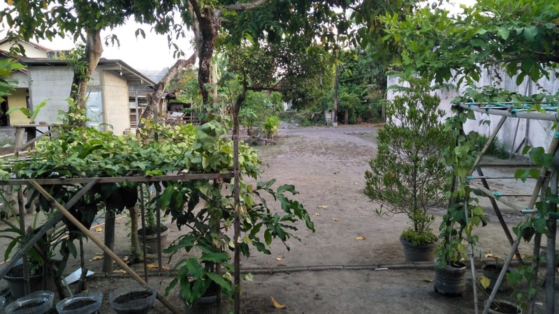 Dijual Rumah Luas 714 Meter Persegi di Lokasi Strategis Titang, Jogonalan, Klaten