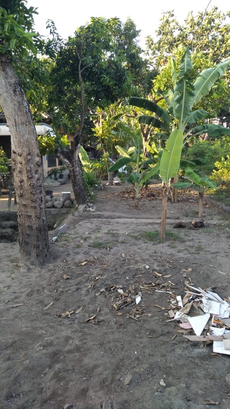 Dijual Rumah Luas 714 Meter Persegi di Lokasi Strategis Dekat Balai Desa Taji, Klaten