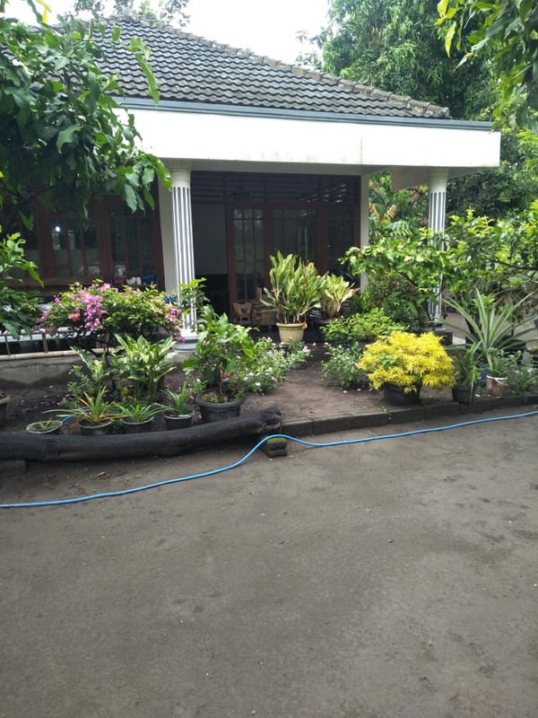 Dijual Rumah Luas 714 Meter Persegi di Lokasi Strategis Titang, Jogonalan, Klaten