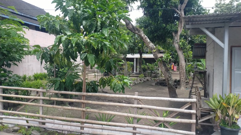 Dijual Rumah Luas 714 Meter Persegi di Lokasi Strategis Dekat Balai Desa Taji, Klaten