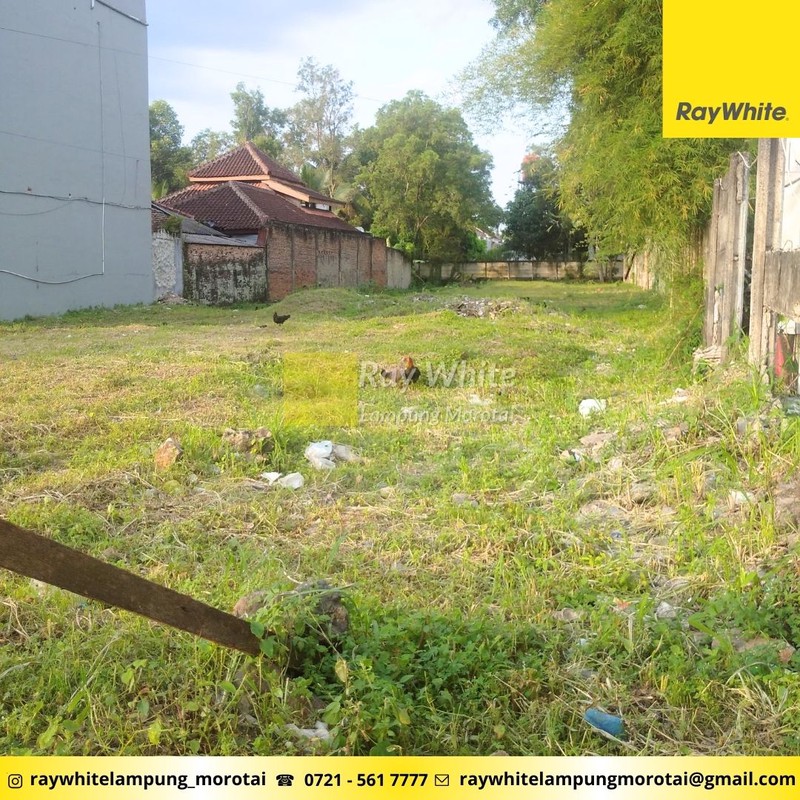 Dijual tanah di natar luas 1460 m2 Lampung Selatan