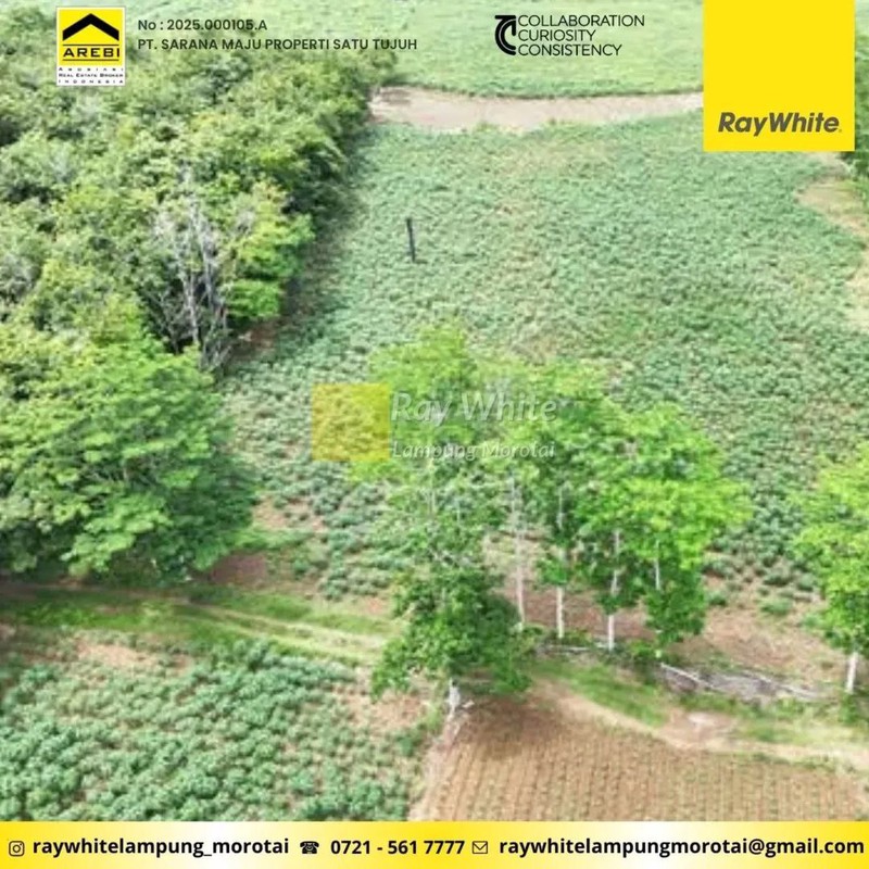 Dijual Tanah di Abung Selatan, Lampung Utara