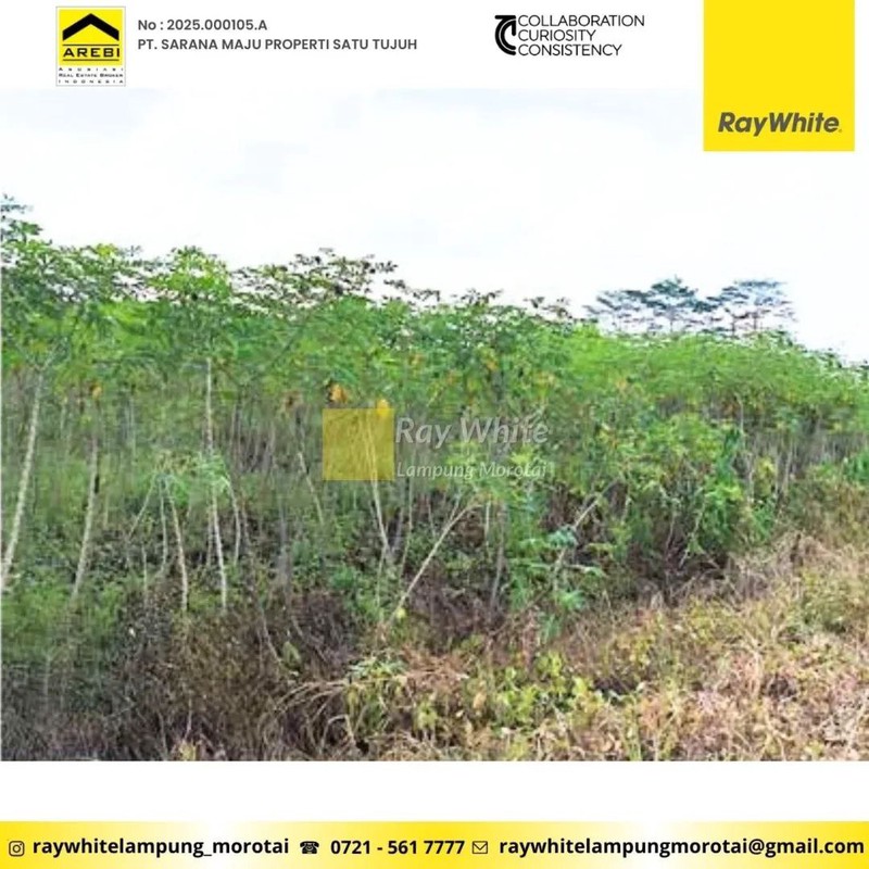 Dijual Tanah di Abung Selatan, Lampung Utara