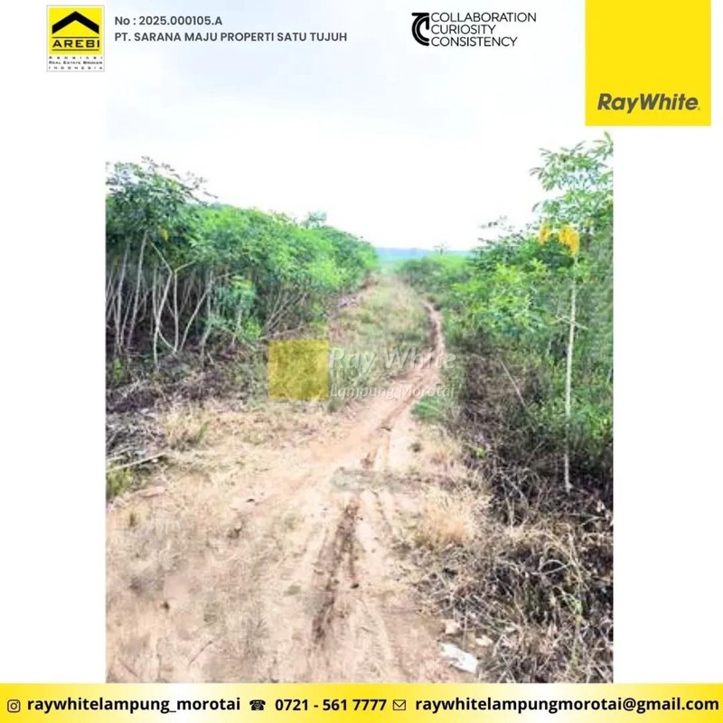 Dijual Tanah di Abung Selatan, Lampung Utara