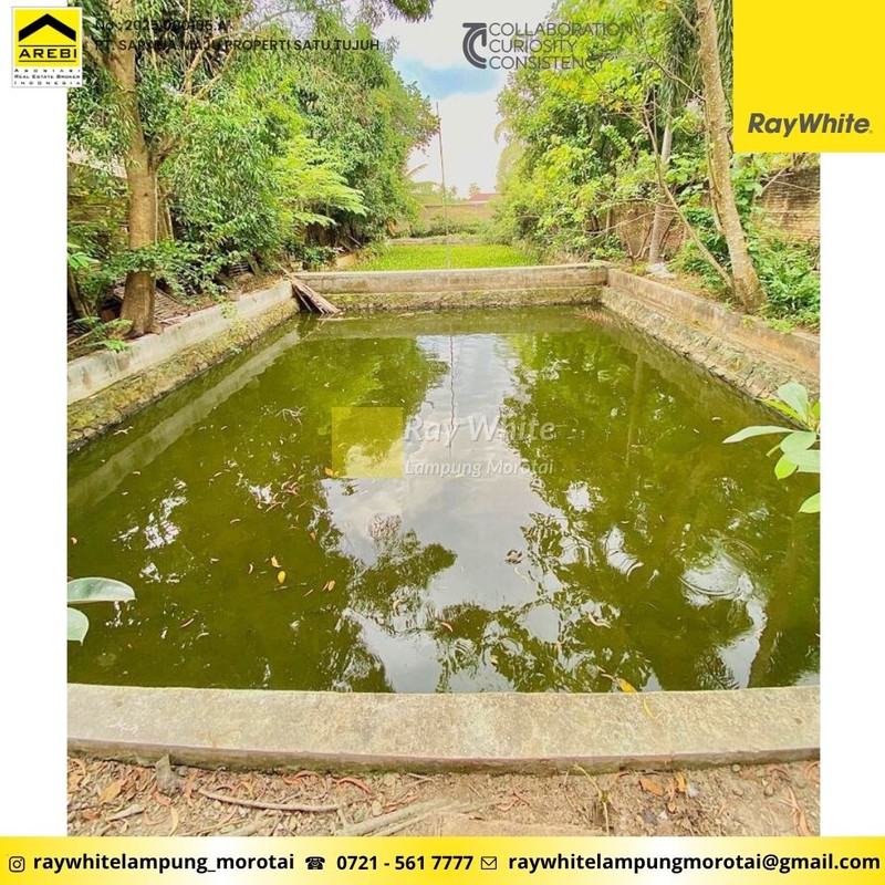 Dijual dan Disewakan Rumah berlokasi di Candimas Lampung Selatan 