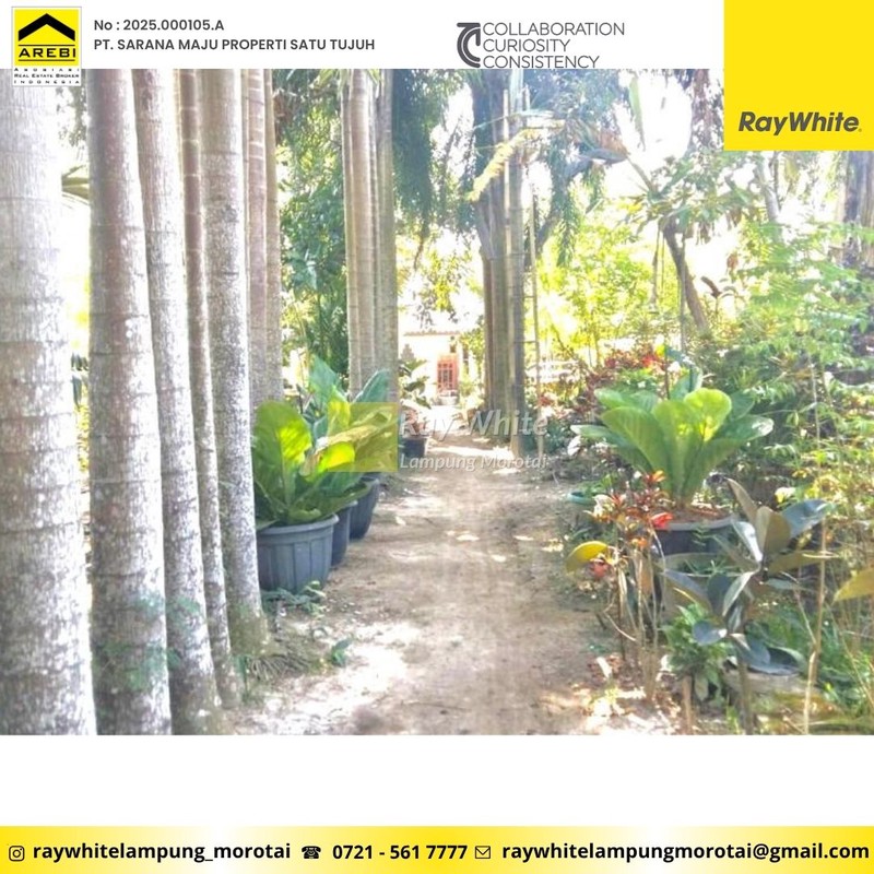 Dijual dan Disewakan Rumah berlokasi di Candimas Lampung Selatan 