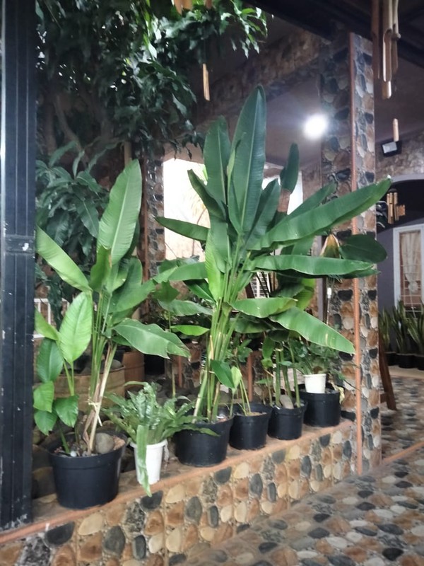 Rumah Siap Huni dengan Hunian Nyaman dan Asri di Sawangan, Depok