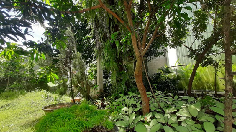 Rumah Asri dan Nyaman Lokasi Strategis di  Bintaro Jaya, Tangerang Selatan