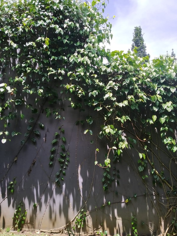 Dijual rumah cantik di dago  Komplek kampung padi